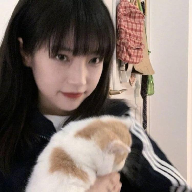 永野芽郁（饰 三条燕） - 山口珠理影片高清在线播放19 - 平板看视频